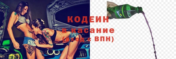 индика Верея