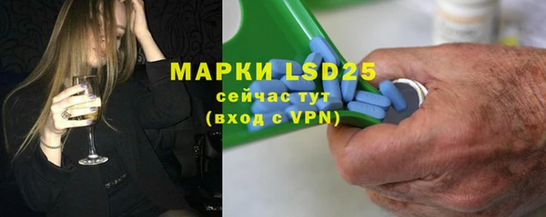 индика Верея