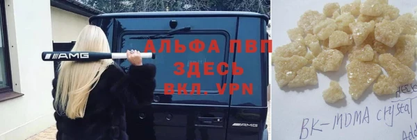 индика Верея