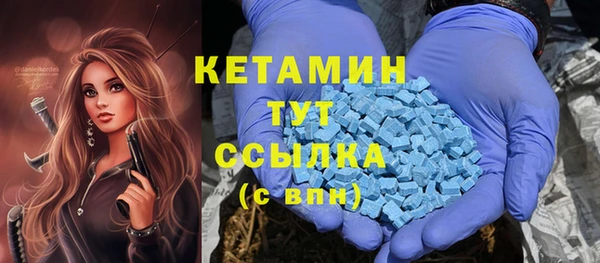 индика Верея