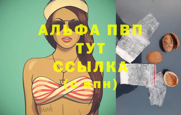 индика Верея