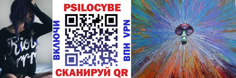 купить наркотик  Вязники  Псилоцибиновые грибы прущие грибы 